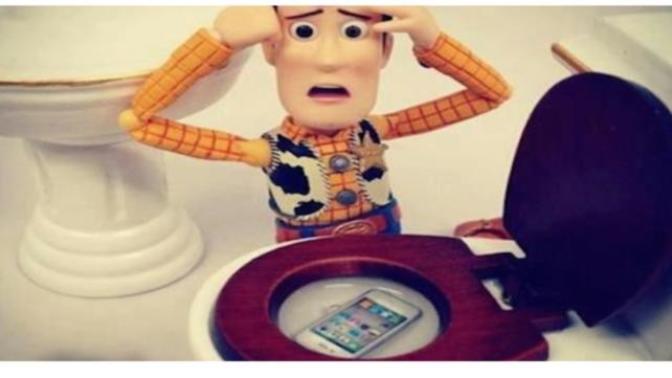 🙀! What if you dropped your cell phone in the toilet?