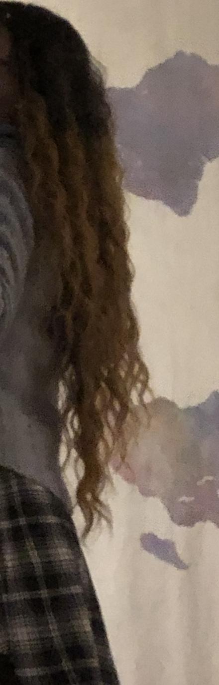 SO.. what I ordered was *straight dark To light brown ombré. What showed up was *curly dark blond ombré Which in this case means burnt orange🤔?