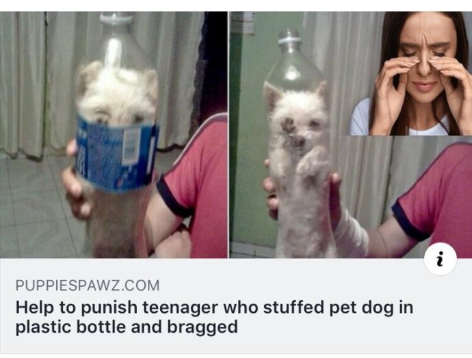 How did this teen boy fit his dog into such a small bottle?