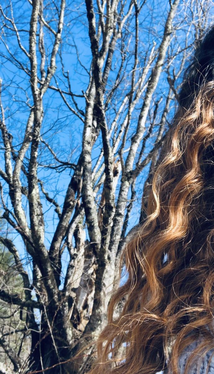 Re: “Curly dark blond ombré Hair” pics in sunlight (with a bit of nature😉) ?