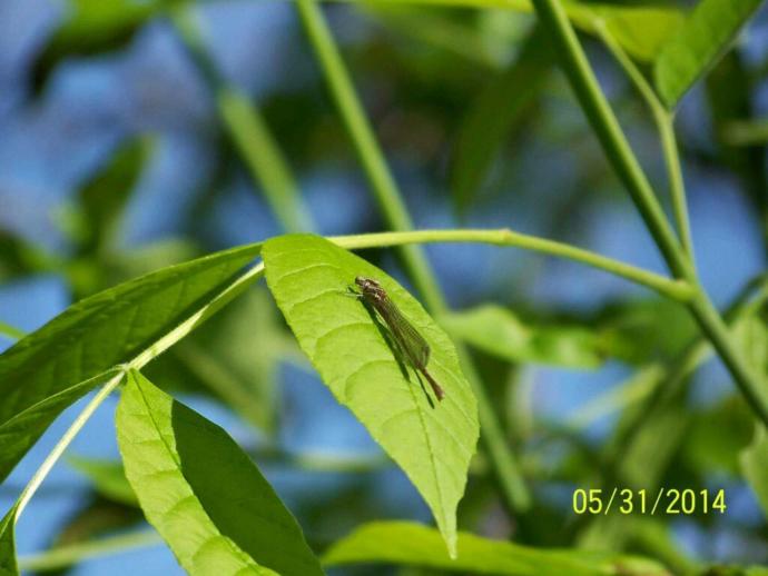 Which picture is better?