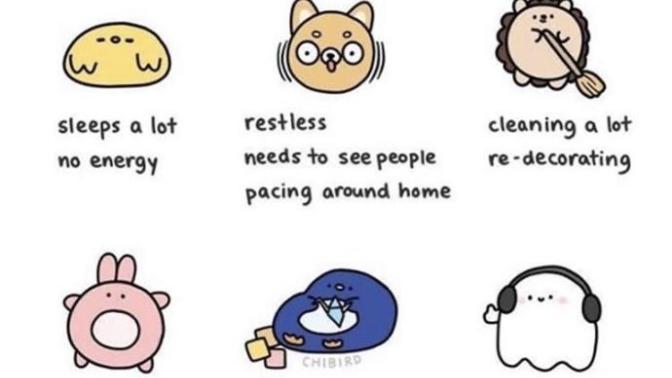 Which one are you during this self-isolation/quarantine time?