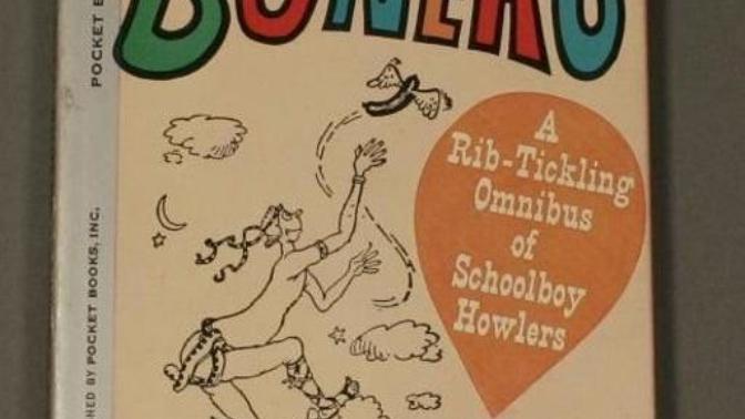 What's this book about?