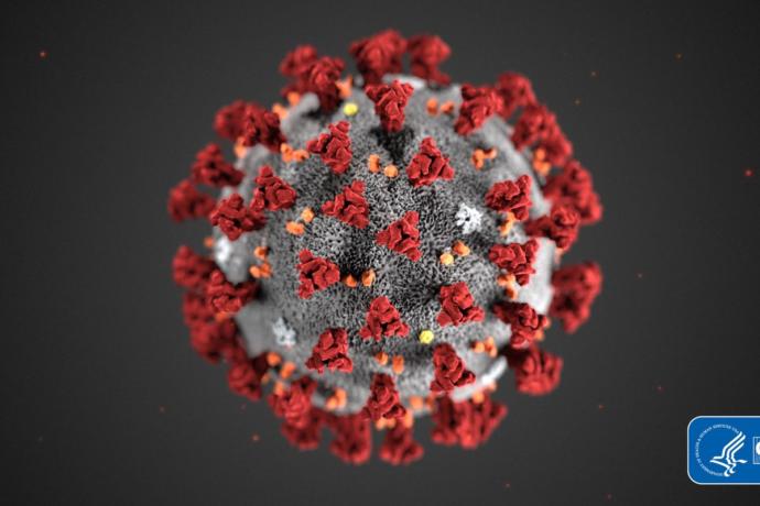 Do you think its possible that China intentionally spread the virus?