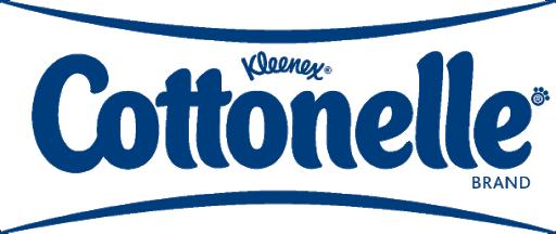 Toilet Paper:Which brand do you use?