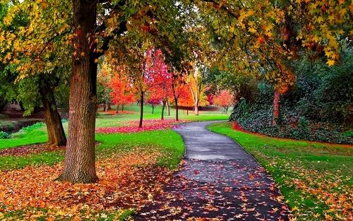 Which is your favorite season ?
