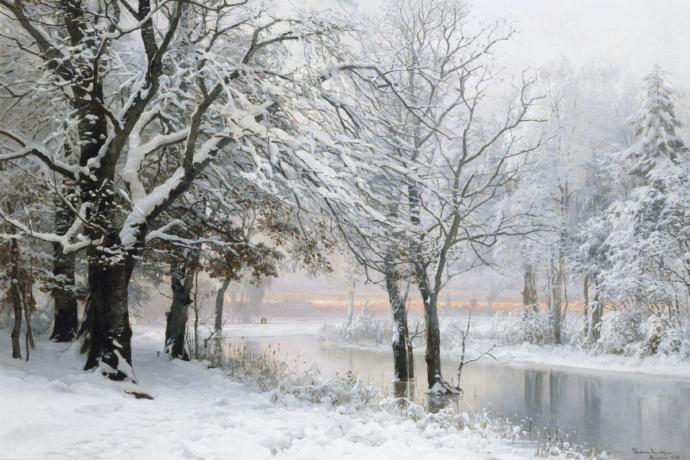 Which is your favorite season ?