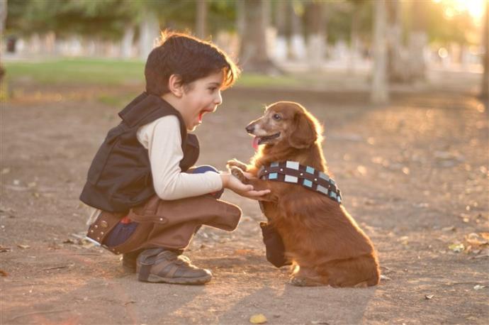 If you could only have ONE of these two in life WHICH WOULD IT BE: kids or pets?
