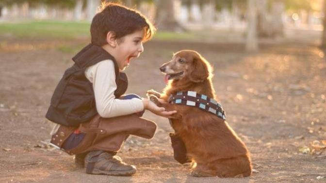 If you could only have ONE of these two in life WHICH WOULD IT BE: kids or pets?