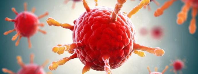 What do you know about herpes?