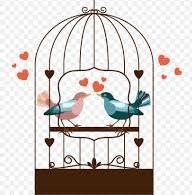How are you lovebirds surviving in captivity?