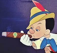 Have you ever smoked a cigar or cigarette before?