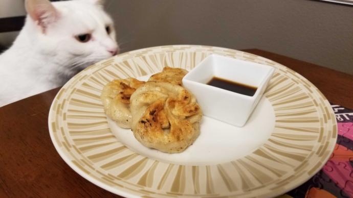 Ever make homemade potstickers?