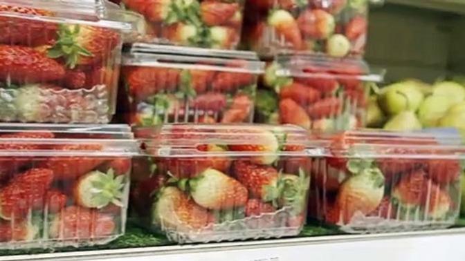 What is best food for quarantine? I think this is the best and you?