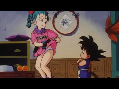 What would your one wish be: Immortality or Bulmas panties?