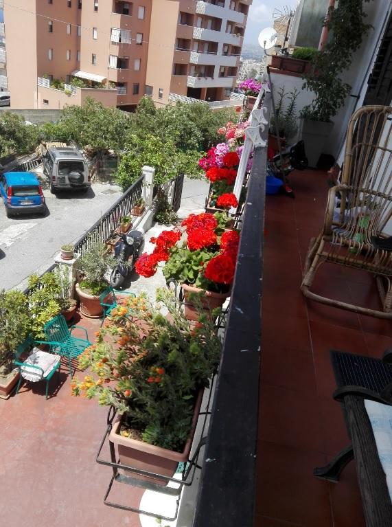 View From My Balcony