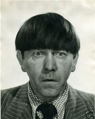 Which of the 3 Stooges do you think had the best performance during the show?