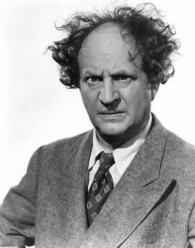 Which of the 3 Stooges do you think had the best performance during the show?