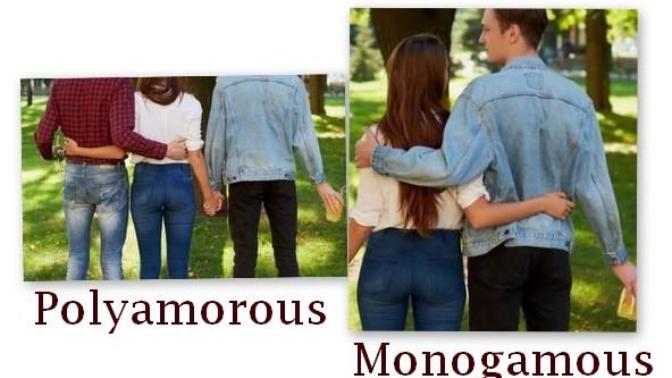 Would you prefer to be monogamous OR polyamorous?
