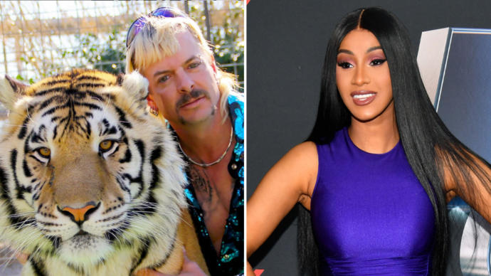 Do you think Cardi B is an idiot for trying to get Joe Exotic out of prison?
