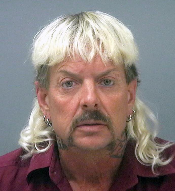 Do you think Cardi B is an idiot for trying to get Joe Exotic out of prison?