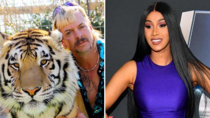 Do you think Cardi B is an idiot for trying to get Joe Exotic out of prison?
