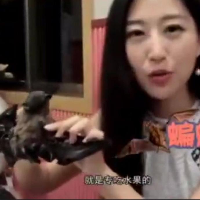 Did you know that Covid-19 came from the Chinese Wet Market serving Bat Soup?