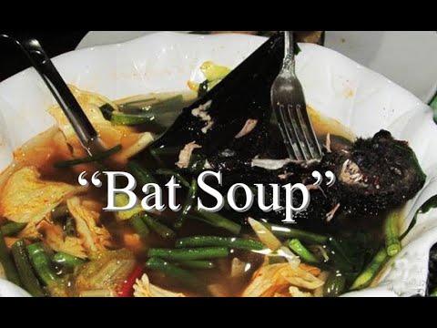 Did you know that Covid-19 came from the Chinese Wet Market serving Bat Soup?