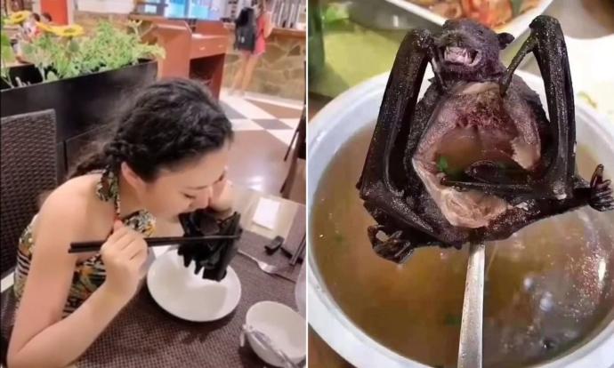 Did you know that Covid-19 came from the Chinese Wet Market serving Bat Soup?