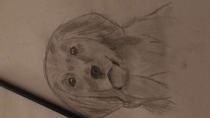 Thoughts on my drawing?