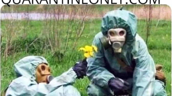 How are you taking this quarantine?