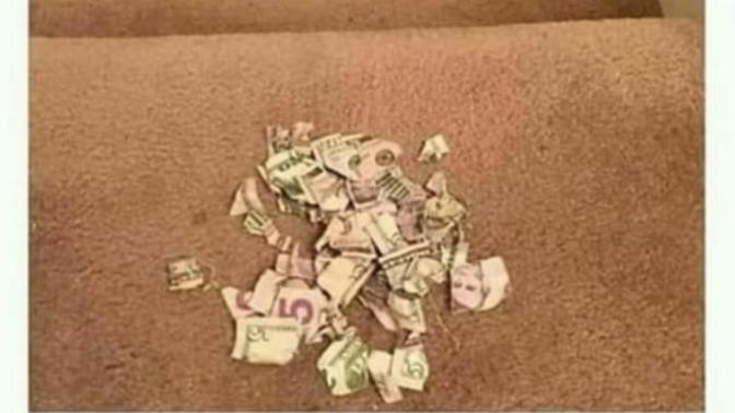 A child rips up their allowance because they're not happy with the amount. If this was your child, what would you do?