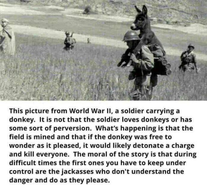 In times like these whats the best way to control dumb people?