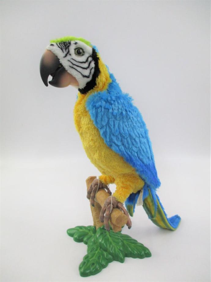 Sqawkers the talking parrot