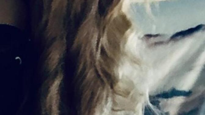 Mixed Dirty brown/Dirty blond wig~ thoughts?
