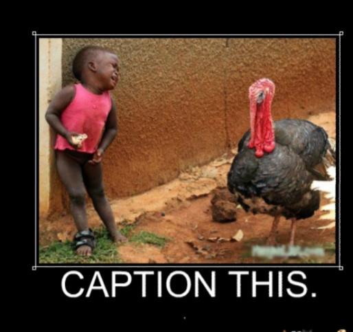 Bored? Will You Play Caption This With Me?