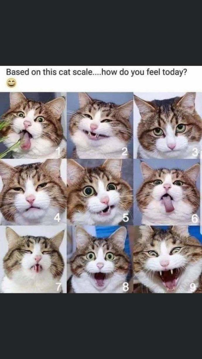 What mood are you in?