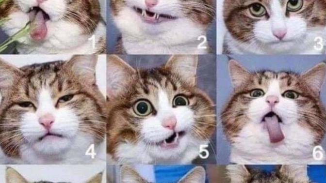 What mood are you in?