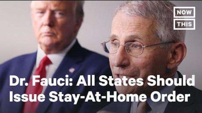 What are your thoughts on Doctor Anthony Fauci?