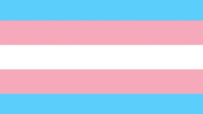TRANSGENDER SUPPORTERS ONLY!!! Are some people taking it too far?