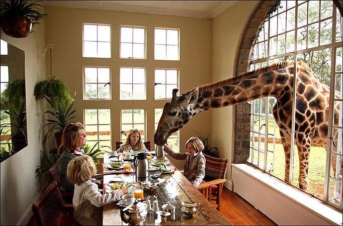 Would you eat at this restaurant?