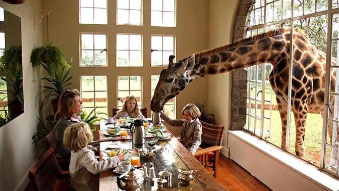 Would you eat at this restaurant?