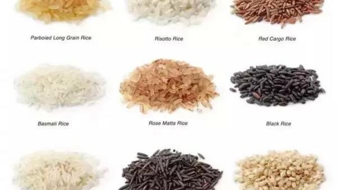 What your favorite kind of rice?