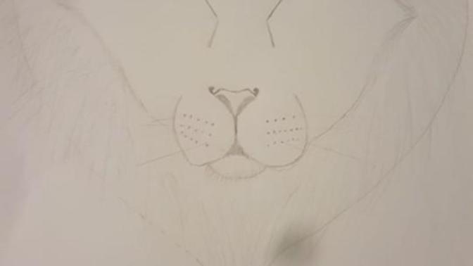 I want to learn how to draw, where do I start?