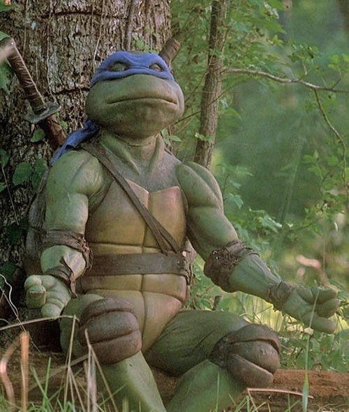 Which had the most powerful weapon of the Teenage Mutant Ninja Turtles?