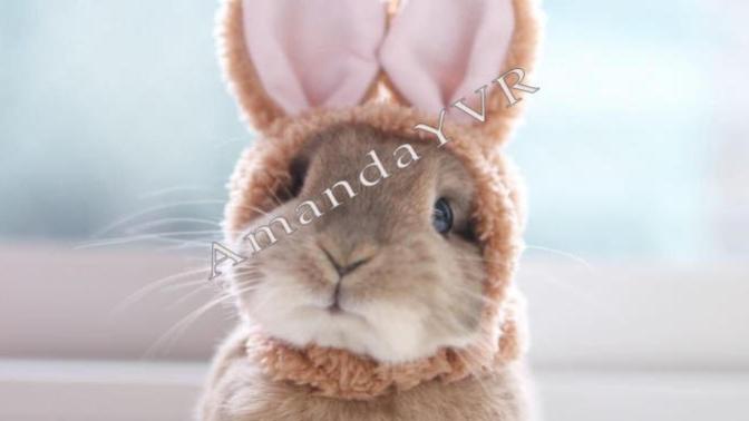 So is the Easter Bunny coming to your place this weekend?