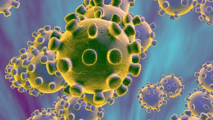 What will you say to Corona virus?