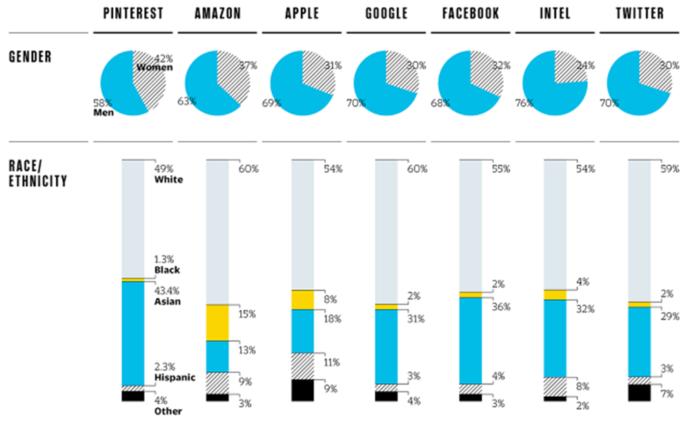 Whats the principal reason for the lack of diversity in technology firms such as those in Silicon Valley?