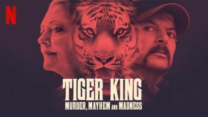 What do you think of the current most popular Netflix show: Tiger King?