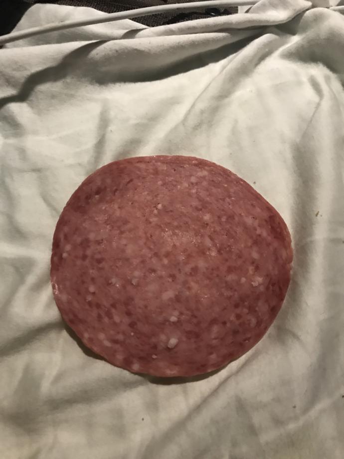 I left a couple packs of lunch meat out overnight cuz I forgot but im still going to eat it am I an idiot?